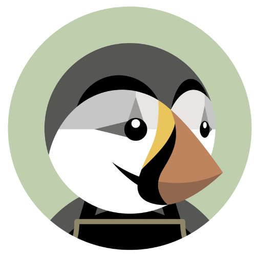 site prestashop optimisé SEO